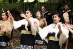 Maori cultural experience Ko Tane